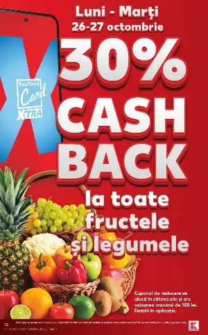 Pagina 12 - Catalog Kaufland Tematic