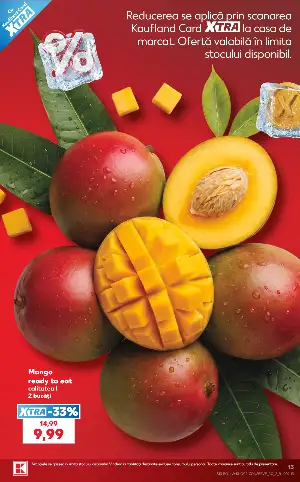 Pagina 13 - Catalog Kaufland Tematic