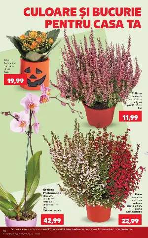 Pagina 16 - Catalog Kaufland Tematic