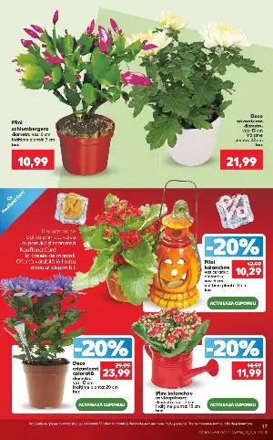 Pagina 17 - Catalog Kaufland Tematic