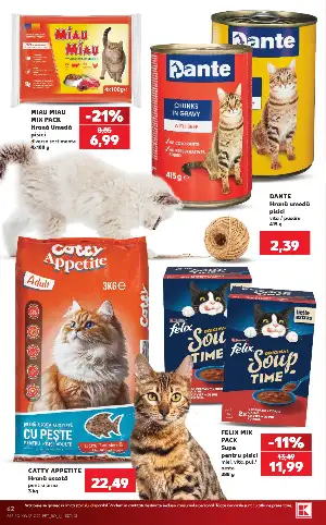 Pagina 62 - Catalog Kaufland Tematic